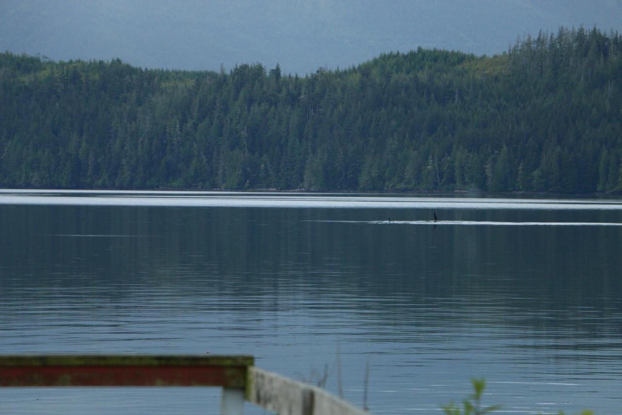 Nimpkish Hotel Alert Bay Exterior photo